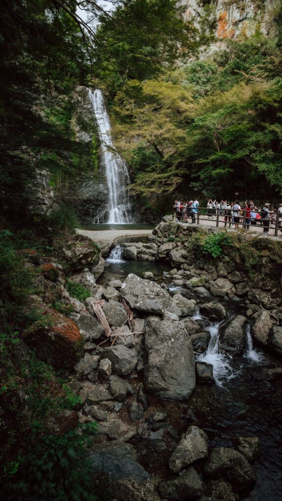 Explore a beautiful waterfall cascading into a rocky river surrounded by lush greenery.